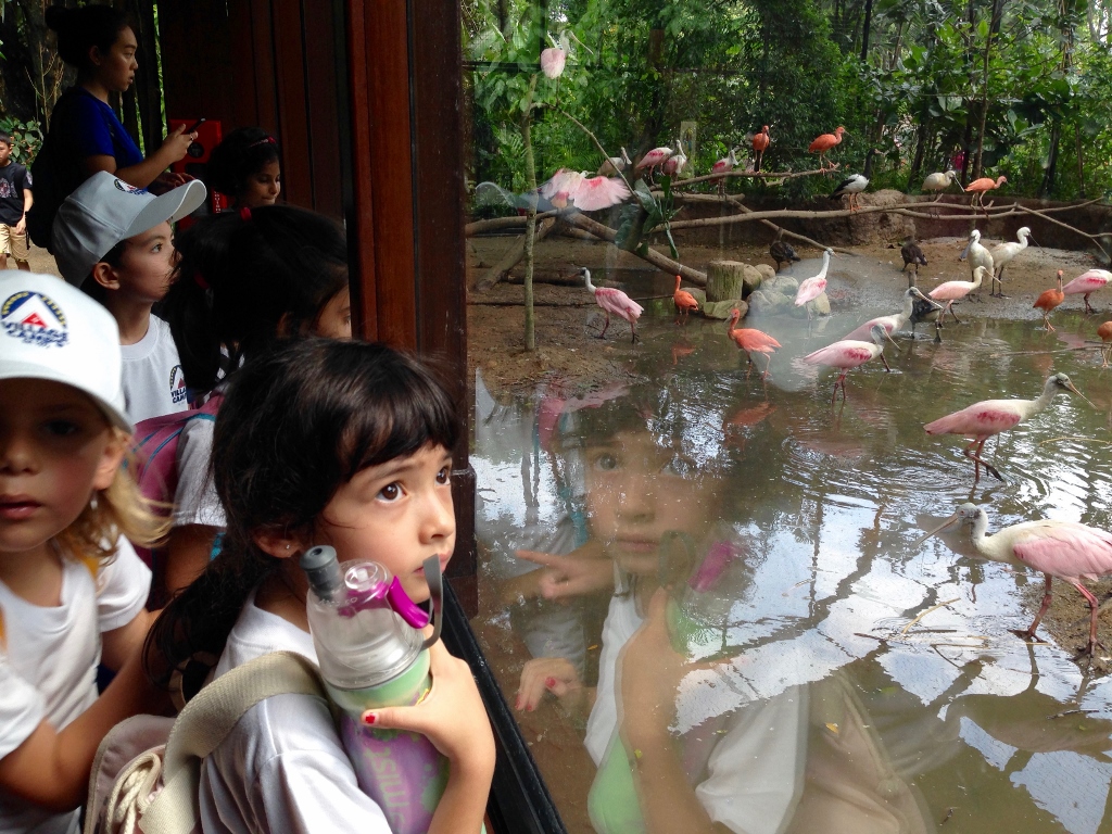 Village Camps International Summer Camp VDC Singapore 2017-07-28 https://www.villagecamps.com/journals_admin/images/1695-8970-IMG_6150 (1024x768).jpg